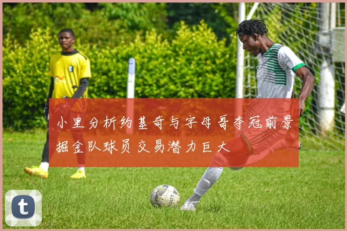 小里分析约基奇与字母哥夺冠前景掘金队球员交易潜力巨大