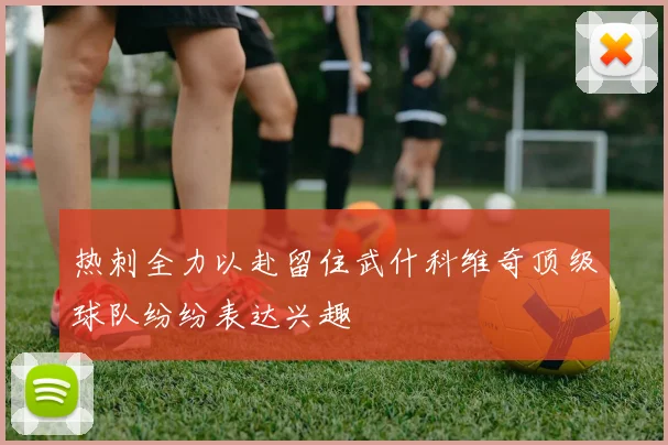 热刺全力以赴留住武什科维奇顶级球队纷纷表达兴趣